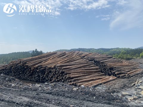 河道打樁為什么選擇松木樁來處理軟地基？-松木樁施工使用范圍