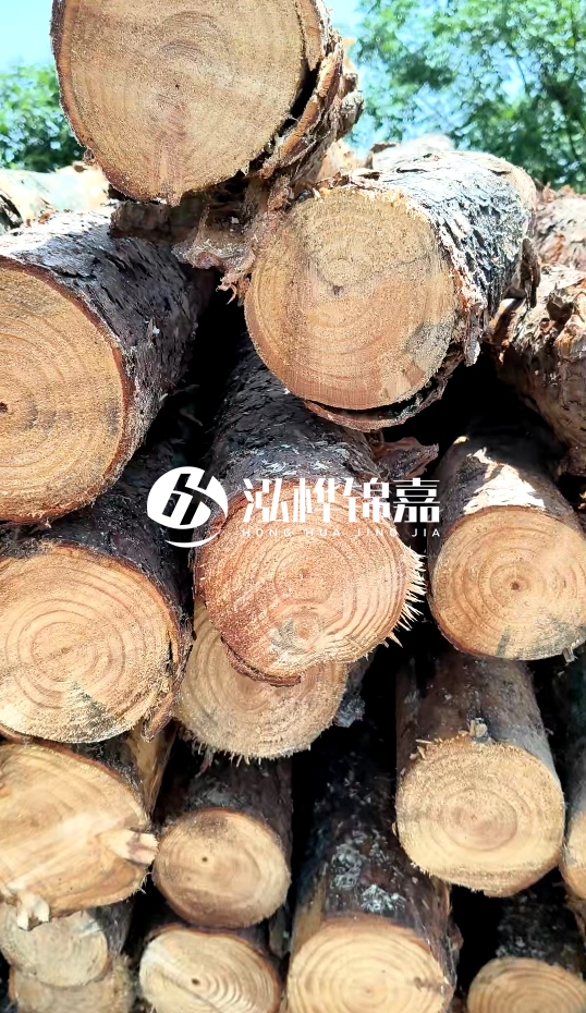周口挖機(jī)打木樁專業(yè)施工-杉木樁施工打樁怎么打？